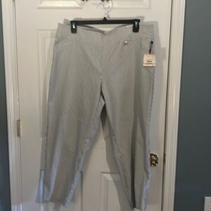 Nwt Anne Klein pinstripe slim ankle pant 2x